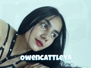 Owencattleya