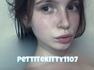 Pettitekitty1107