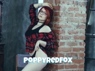 PoppyRedFox