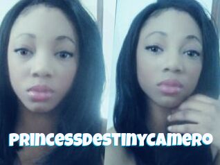 PrincessDestinyCamero