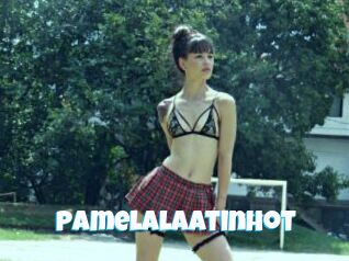 Pamelalaatinhot