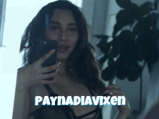 Paynadiavixen