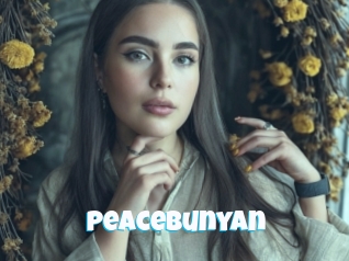 Peacebunyan
