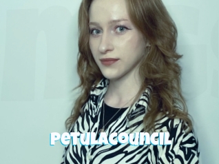 Petulacouncil