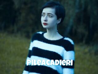 Pileacadieri