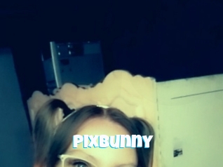 Pixbunny