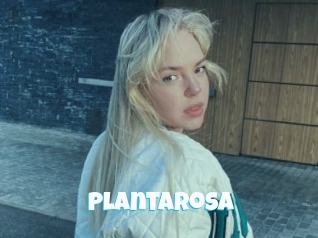 Plantarosa