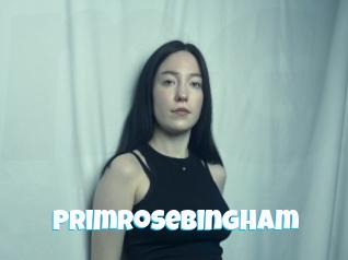 Primrosebingham