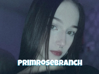 Primrosebranch