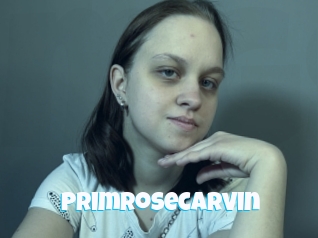 Primrosecarvin