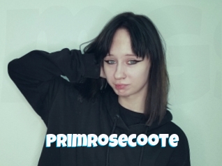 Primrosecoote