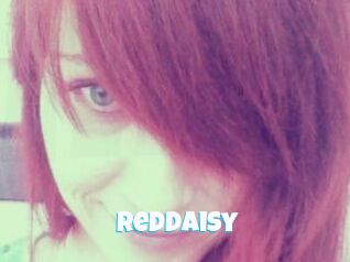 RedDaisy