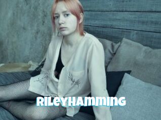 RileyHamming