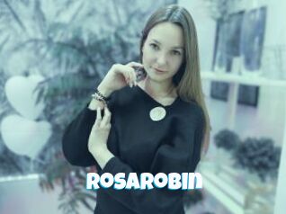 RosaRobin Miss Gros Seins