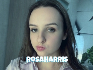 rosaharris Miss Gros Seins