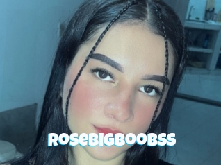 Rosebigboobss
