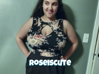 Roseiscute