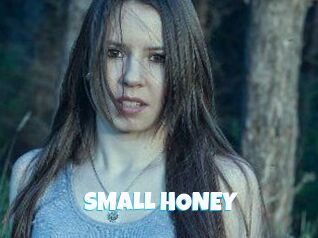 SMALL_HONEY