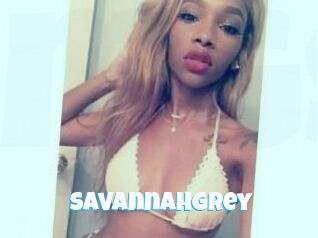 Savannah_Grey