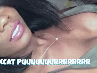 SphinxCat_Puuuuuuurrrrrrrr_