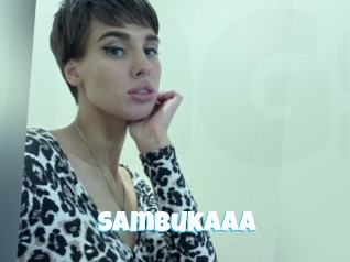 Sambukaaa
