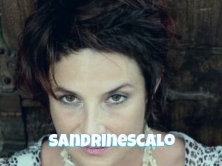 Sandrinescalo