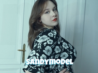 Sandymodel