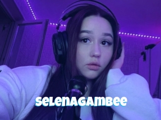 Selenagambee