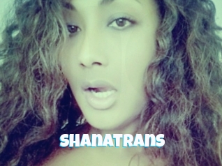 shanatrans Miss Gros Seins