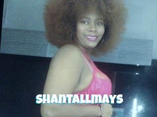 shantallmays Miss Gros Seins