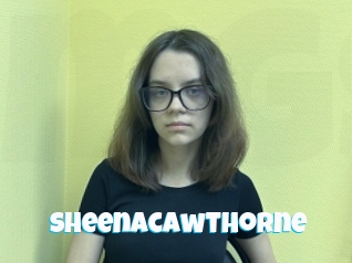 sheenacawthorne Miss Gros Seins