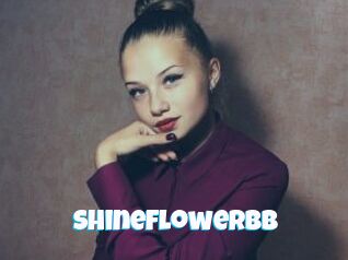 Shineflowerbb