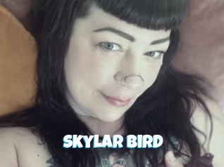 Skylar_bird