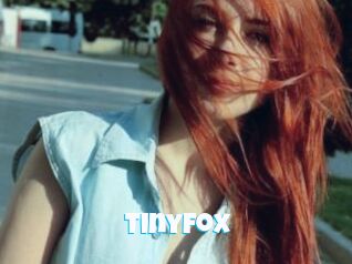 TinyFox Miss Gros Seins
