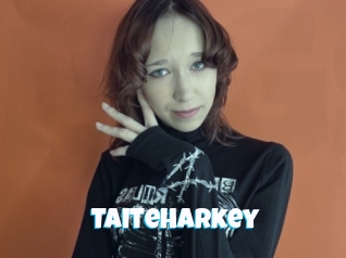 Taiteharkey