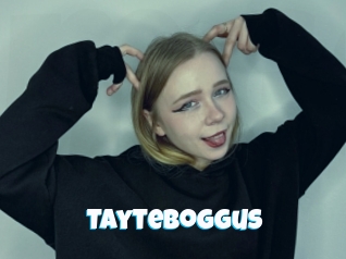Tayteboggus