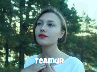 Teamur