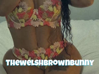 Thewelshbrownbunny