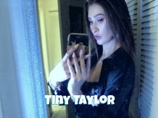 Tiny_taylor