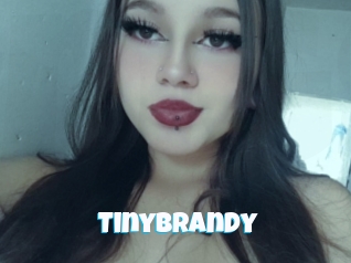 Tinybrandy