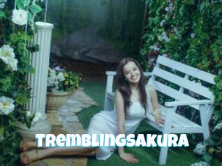 Tremblingsakura