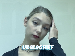 Udelegriff