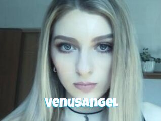 VenusAngel