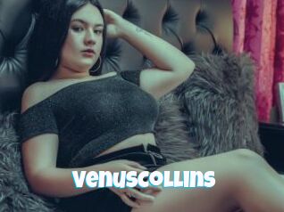 VenusCollins