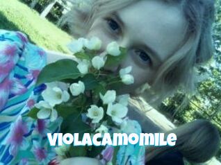 ViolaCamomile