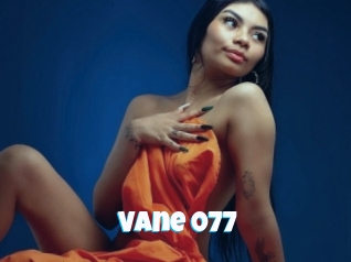 Vane_077
