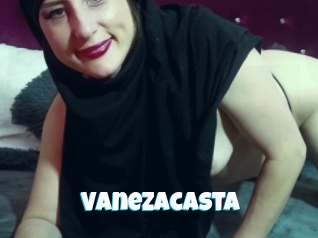 Vanezacasta