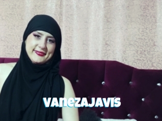 Vanezajavis