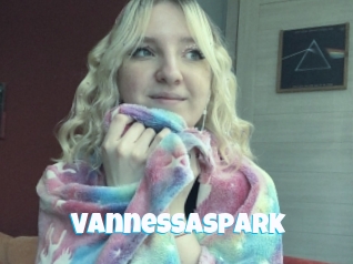 Vannessaspark