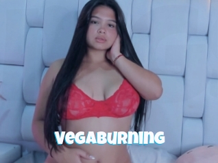 Vegaburning